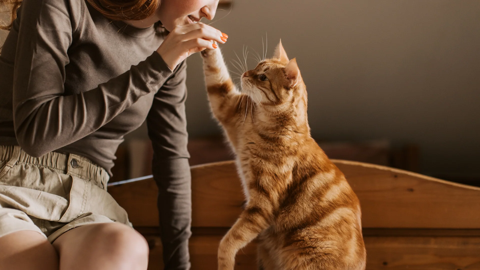 7 Tips Memilih Hewan Peliharaan Sesuai Gaya Hidup