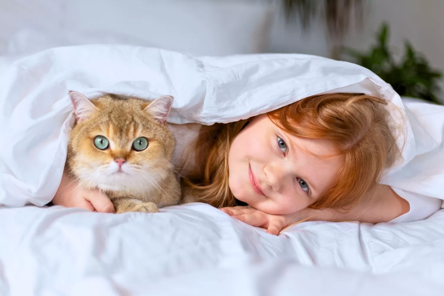 7 Hewan Peliharaan Terbaik untuk Anak-Anak